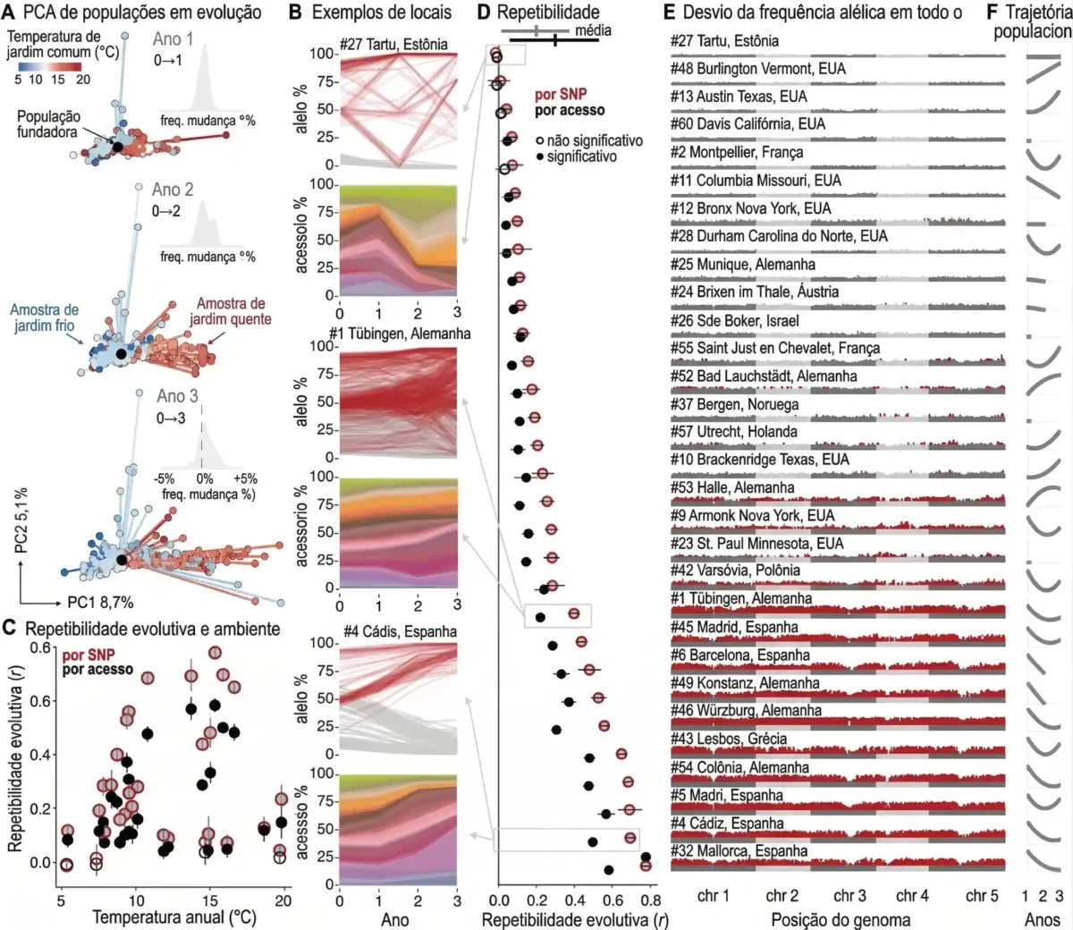 As plantas se adaptam às mudanças climáticas, mas 9 A evolução genômica na GrENE-net é rápida e paralela