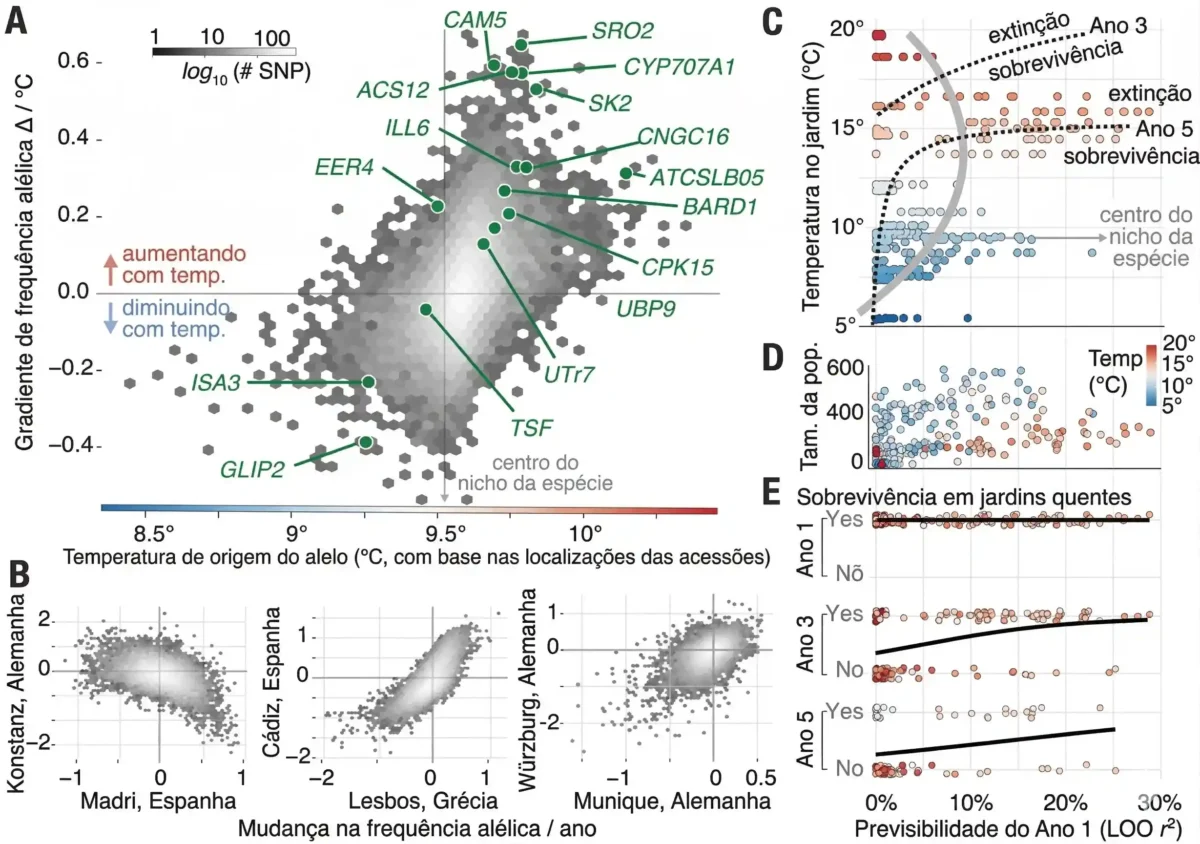 As plantas se adaptam às mudanças climáticas, mas 10 Previsibilidade da evolução genômica e da sobrevivência populacional em diferentes ambientes