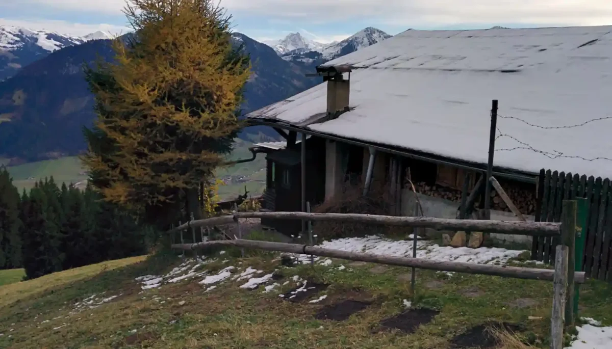 As plantas se adaptam às mudanças climáticas, mas 5 Parcelas de Arabidopsis thaliana parcialmente cobertas de neve em Brixen im Thale, uma cidade nos Alpes de Kitzbühel, no oeste da Áustria. Este foi um dos 30 locais de pesquisa na Europa, no Oriente Médio e nos EUA, onde biólogos plantaram 12 parcelas separadas para estudar a evolução genética sob a influência das mudanças climáticas.
