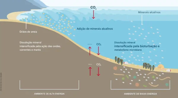 Aumento da alcalinidade oceânica