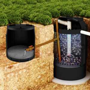 Rota da bioenergia: fazendas brasileiras transformam dejetos em autonomia elétrica Reprodução - fortlev