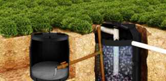 Rota da bioenergia: fazendas brasileiras transformam dejetos em autonomia elétrica Reprodução - fortlev