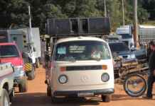O grito silenciado: como a poluição sonora urbana expulsa a fauna das cidades Foto: Joao batista Shimoto
