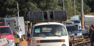 O grito silenciado: como a poluição sonora urbana expulsa a fauna das cidades Foto: Joao batista Shimoto