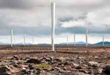 Instituições globais adotam árvores de vento para metas de carbono zero Reprodução