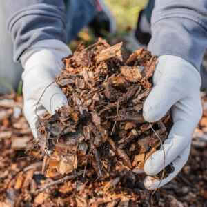 Resíduos florestais impulsionam nova geração de biofertilizantes Reprodução
