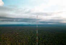 Estudo revela que neblina amazônica transporta microrganismos vivos pela mata Gov.br