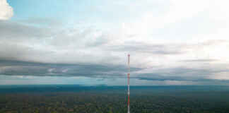 Estudo revela que neblina amazônica transporta microrganismos vivos pela mata Gov.br