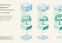 La vegetación tiene un límite para evaporar agua, y eso cambia el mapa de sequías e inundaciones Desenho esquemático do ciclo