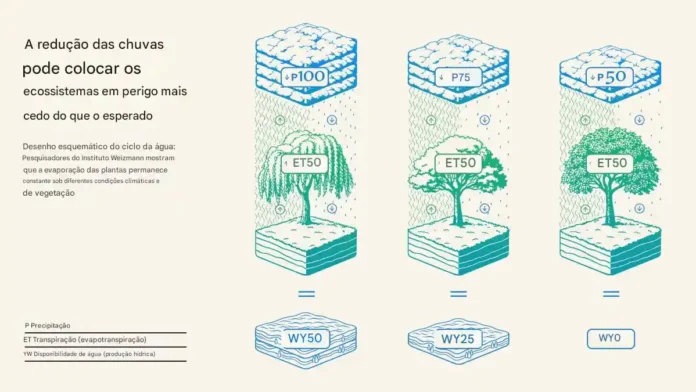 Desenho esquemático do ciclo da Água Desenho esquemático do ciclo