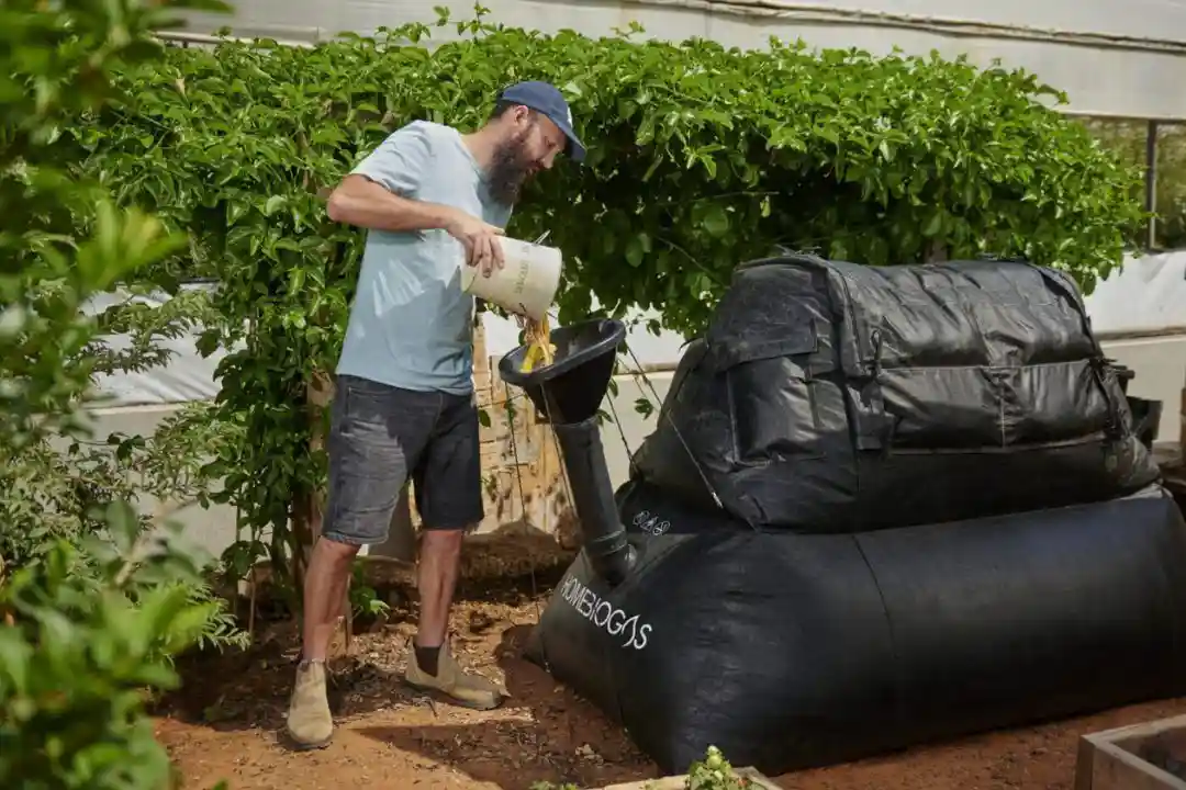 Como o lixo orgânico virou a nova riqueza das comunidades rurais paraenses