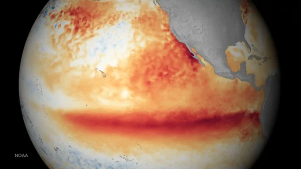 Desvio da temperatura da superfície do mar no Oceano Pacífico, medido por satélite, durante o mês de outubro de 2015. As cores laranja-avermelhadas mais escuras indicam temperaturas acima do normal e são um sinal do fenômeno El Niño
