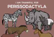 Anta: O maior mamífero da América do Sul esconde DNA de rinoceronte Reproduçao