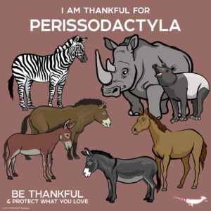 Anta: O maior mamífero da América do Sul esconde DNA de rinoceronte Reproduçao