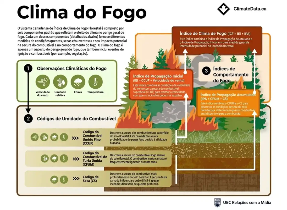 A água potável corre risco muito tempo depois de incêndios florestais 1 Em 2023, mais de 15 milhões de hectares foram queimados, mais que o dobro do recorde nacional anterior