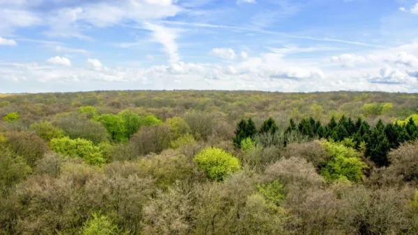 Em abril, as florestas da Europa Central começam a ficar verdes. Nessa época do ano, o "centro verde" da vegetação global desloca-se para o norte. A foto mostra o Parque Nacional de Hainich, na Turíngia