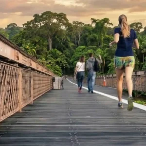 A atividade física está ligada à saúde do planeta Esforços atuais para promover a participação em atividades físicas são insuficientes e/ou inexistentes