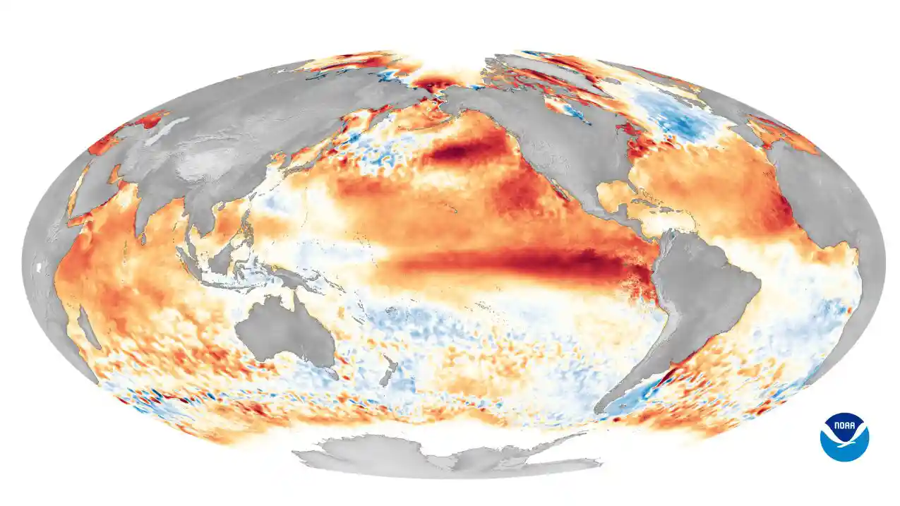 Aquecimento anômalo e desastre térmico: 5 impactos globais do novo super El Niño segundo a Europa 1 Este mapa mundial mostra as anomalias da temperatura da superfície do mar durante um dos eventos El Niño mais intensos já registrados, em 2016. As áreas vermelhas indicam temperaturas oceânicas acima da média, enquanto as áreas azuis representam temperaturas abaixo da média