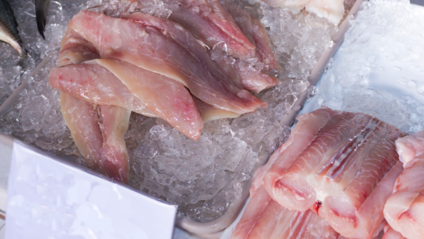 File de cacao 1 600x338 1