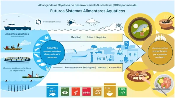Futuros sistemas alimentares aquáticos, destacando o caminho da produção ao consumo, onde em todas as etapas a gestão direcionada e as decisões estratégicas permitirão que o sistema contribua de forma mais bem-sucedida e equitativa para os sete ODS mostrados na parte inferior relacionados à pobreza (1), fome (2), saúde (3), igualdade de gênero (5), consumo responsável (12), ação climática (13) e vida na água (14)