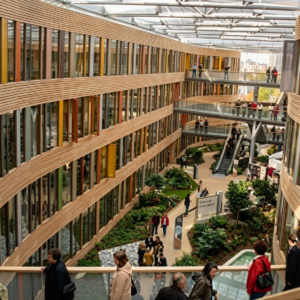 Especialistas testam limites da ciência alemã em territórios tradicionais