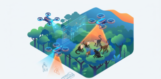 Drones e inteligência artificial revolucionam a contagem de primatas no Brasil