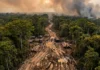 Geopolítica da dor como o caos climático de 2026 empurra a Amazônia para o tráfico humano Geopolítica da dor: como o caos climático de 2026 empurra a Amazônia para o tráfico humano