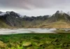La primera planta del mundo: así salió del agua y cambió la Tierra Há centenas de milhões de anos, algas semelhantes, podem ter dado início à evolução das plantas terrestres verdes