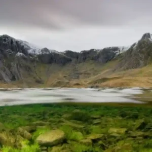A primeira planta do mundo Há centenas de milhões de anos, algas semelhantes, podem ter dado início à evolução das plantas terrestres verdes