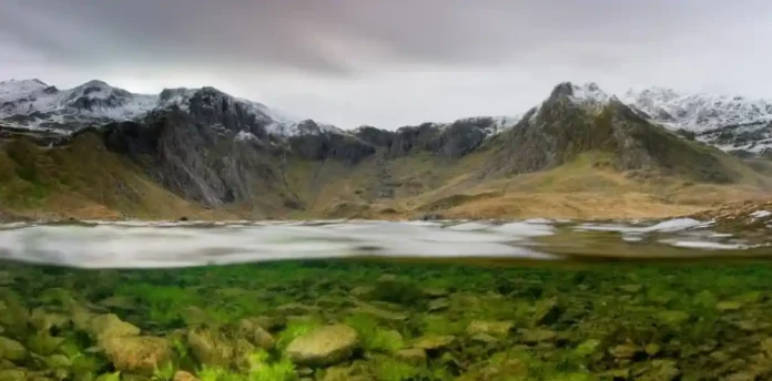 Há centenas de milhões de anos, algas semelhantes, podem ter dado início à evolução das plantas terrestres verdes