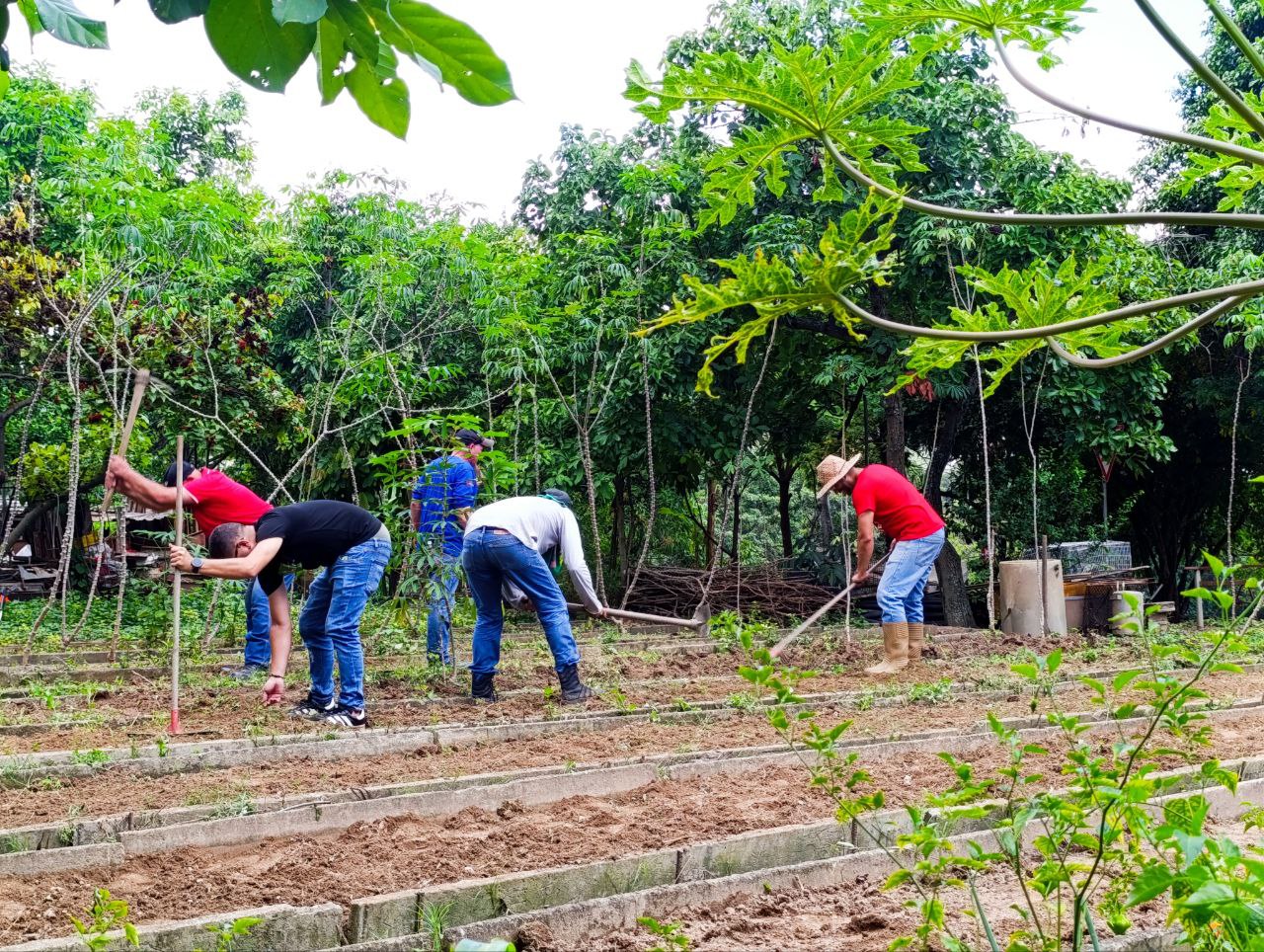 Reprodução - comunas.gob.ve