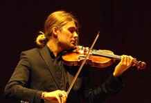 Estudo valida qualidade de pau-brasil plantado para músicos profissionais Reprodução - Wikipedia