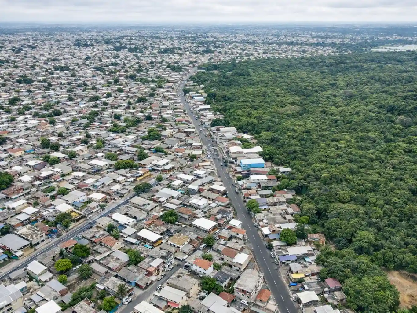 Vista aérea de Manaus com áreas verdes interligadas por corredores de vegetação atravessando bairros