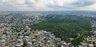 Manaus avança com o maior corredor verde urbano da América do Sul Vista aérea de Manaus com áreas verdes interligadas por corredores de vegetação atravessando bairros
