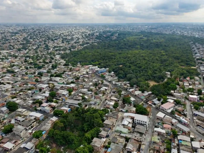 Vista aérea de Manaus com áreas verdes interligadas por corredores de vegetação atravessando bairros