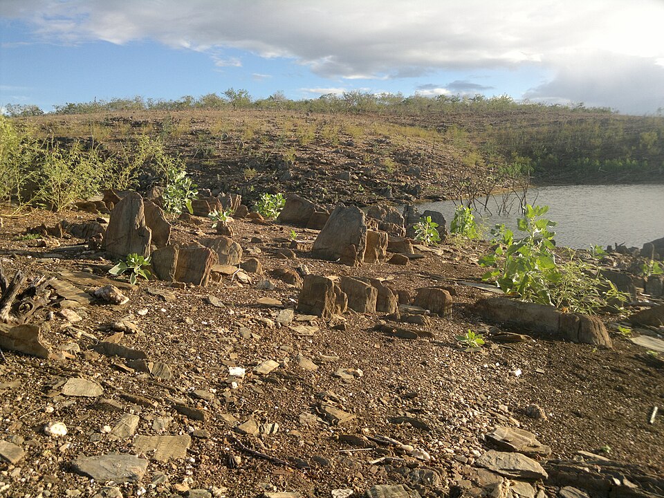 Foto: Ricardo Delegado