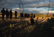 Povos tradicionais são as maiores vítimas da disputa territorial na Amazônia Andressa Zumpano/Comissão Pastoral da Terrra