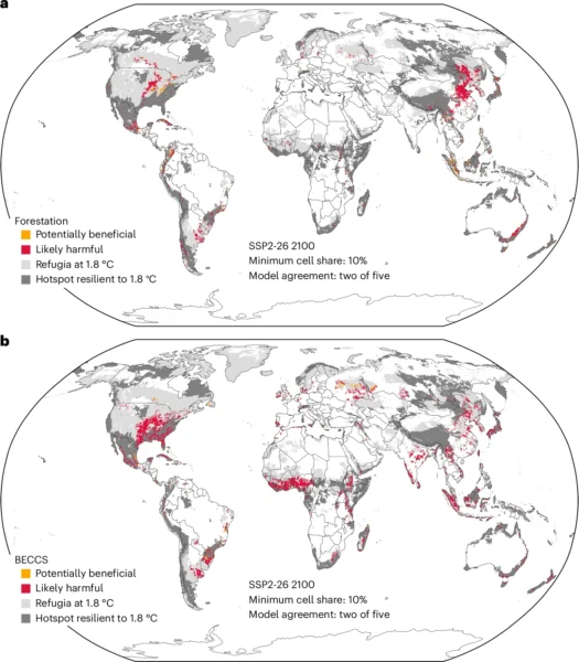 Modelo de acordo sobre a alocação de terras para a implantação de CDR (remoção de dióxido de carbono) em áreas de biodiversidade