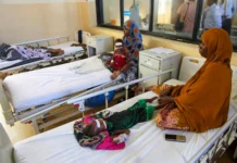 Relatórios da ONU mostram a fome severa devido à seca Quase 6,5 milhões de pessoas na Somália enfrentam fome severa devido à seca e cortes na ajuda internacional. A ONU alerta para o aumento da desnutrição infantil em 2026