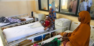 Relatórios da ONU mostram a fome severa devido à seca Quase 6,5 milhões de pessoas na Somália enfrentam fome severa devido à seca e cortes na ajuda internacional. A ONU alerta para o aumento da desnutrição infantil em 2026