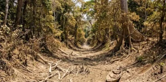O calor que silencia: como a crise climática de 2026 está castigando os mais vulneráveis O calor que silencia: como a crise climática de 2026 está castigando os mais vulneráveis
