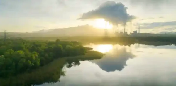 O estudo analisou métodos de remoção e armazenamento de dióxido de carbono atmosférico, como o plantio de florestas ou a bioenergia com captura e armazenamento de carbono