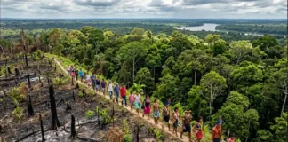 O grito do Papa contra o abuso e a exploração que ferem o coração da Amazônia O grito do Papa contra o abuso e a exploração que ferem o coração da Amazônia