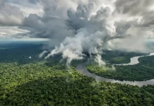 Qué le pasa a tu vida si la selva amazónica deja de respirar O que acontece com a sua vida se a floresta amazônica parar de respirar