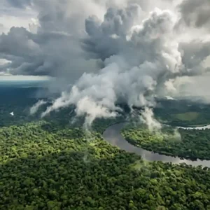 O que acontece com a sua vida se a floresta amazônica parar de respirar O que acontece com a sua vida se a floresta amazônica parar de respirar