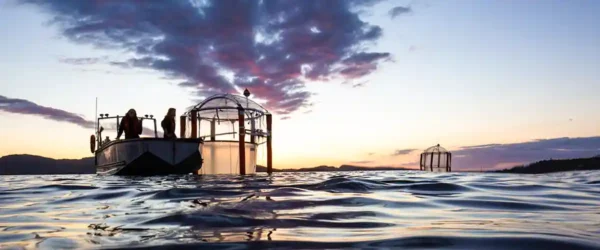 Para monitoramento e verificações da remoção de Dióxido de Carbono