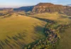 El carbono oculto del Cerrado supera seis veces la Amazonía Pesquisa transforma o que antes era visto como uma paisagem sazonalmente seca em um cofre climático gigantesco