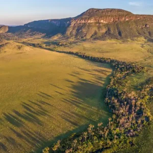 Turfeiras tropicais são cruciais para a mitigação das mudanças climáticas Pesquisa transforma o que antes era visto como uma paisagem sazonalmente seca em um cofre climático gigantesco