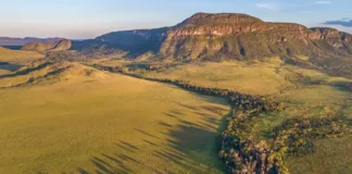Turfeiras tropicais são cruciais para a mitigação das mudanças climáticas Pesquisa transforma o que antes era visto como uma paisagem sazonalmente seca em um cofre climático gigantesco