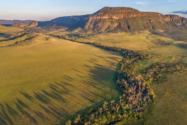 El carbono oculto del Cerrado supera seis veces la Amazonía